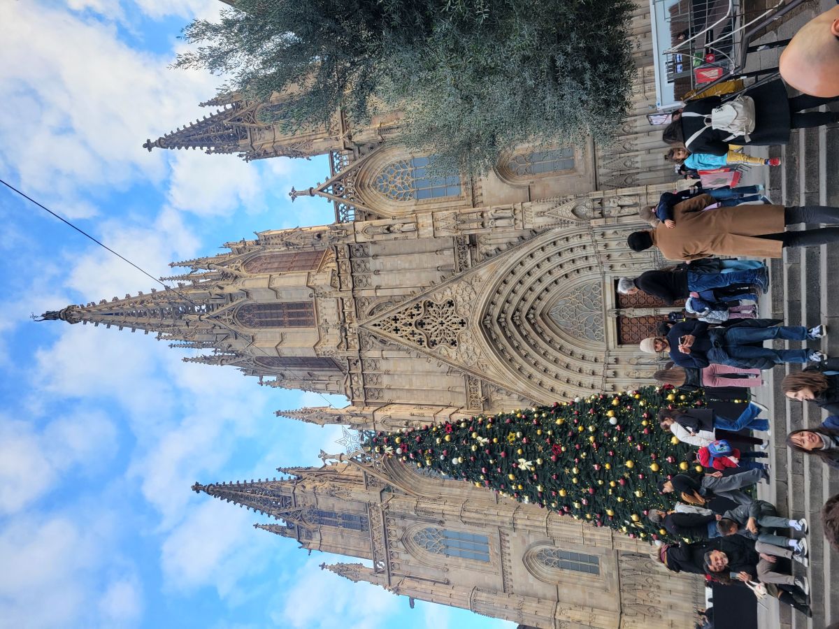 Barcelona Cathedral with a decorated Christmas tree on the steps in front, crowds of visitors below