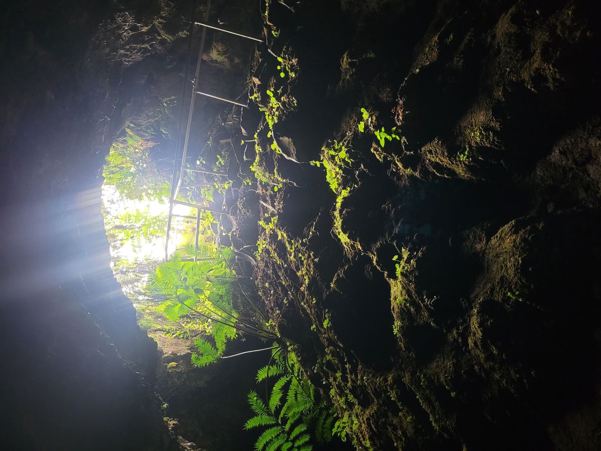 Looking up from inside the Hana Lava Tube, light streaming through the opening with ferns and lava rocks