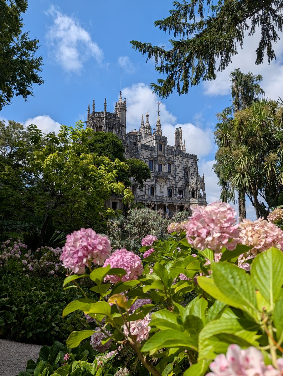 Quinta da Regaleira palace seen through pink hydrangeas